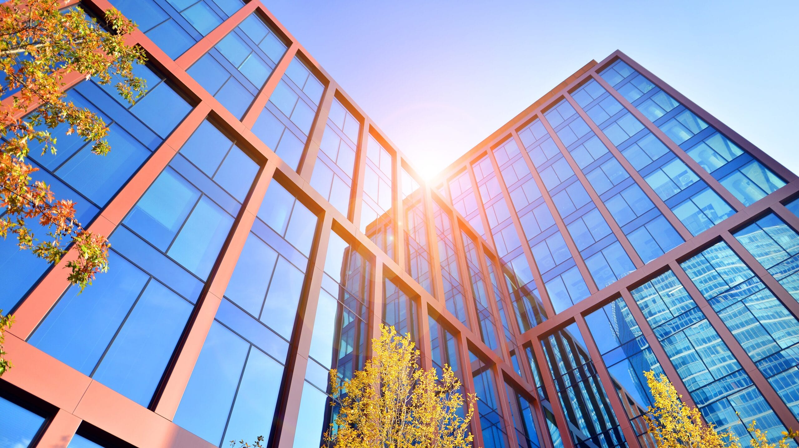 Modern commercial building with glazed façade designed for daylight and intelligent shading performance.